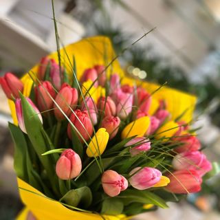 bukiet kolorowe tulipany