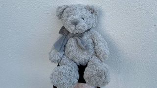 Miś Szary z Kokardą