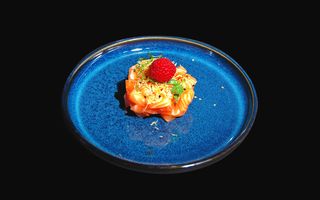 176. Tartar salmon kataifi