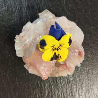 T8. Tartare branzino