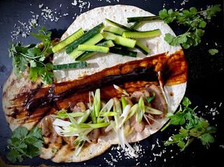 Hoisin duck spring rolls