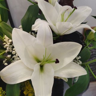 Ramo de 3 varas de liliums blancos