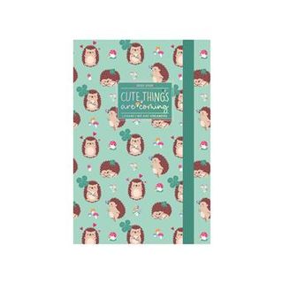 Agenda 2025 26 D/P M Hedgehog 2 - 8052694031060