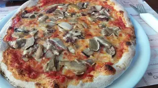 Funghi porcini