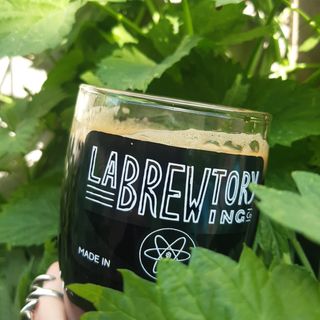 Labrewtory Irish Stout