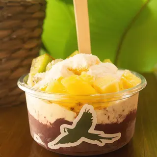Bowl Tropical Pequeño