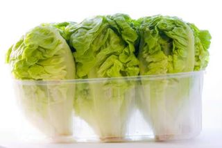 Cogollos Bandeja (3 Unidades)