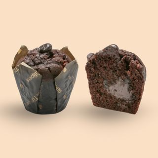 Tulipe chocolate extrem