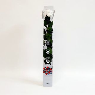 Una Rosa Blanca Preservada