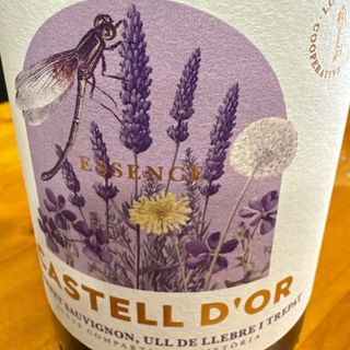 Vi Negre Vino Tinto Castell D'Or