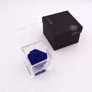 Rosa preservada Flowercube 8x8 Color Azul Oscuro