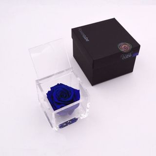 Rosa preservada Flowercube 8x8 Color Azul Oscuro