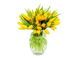 Жълти лалета 35 бр