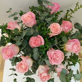 Ramo de 12 rosas rosa