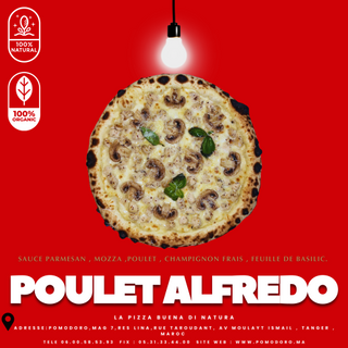  Poulet   Alfredo SMALL   