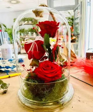 Rosa Eterna Roja Grande