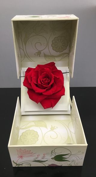 Rosa eterna premium color roja