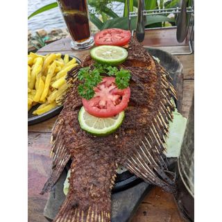 Whole fried fish