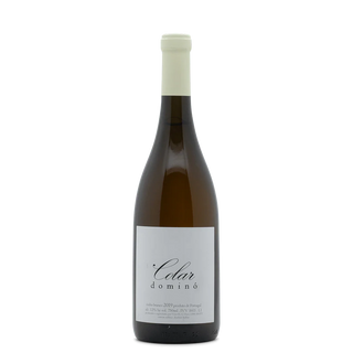 Dominó Branco (Colares)