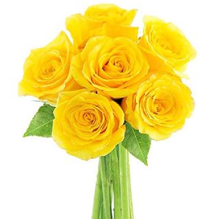 Media Docena Rosas Amarillas