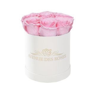 7 trandafiri criogenati roz in cutie alba