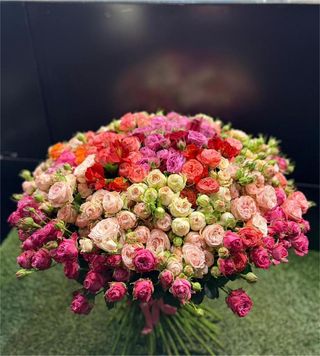 ჰოლანდიური ხარისხი