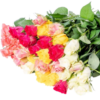 Bukiet z 15 kolorowych róż