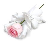 Fleur rose individuelle avec carte 