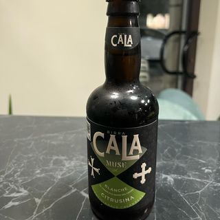 Cala blanche citrusina