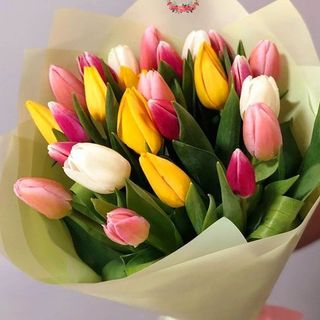 ფერადი  ტიტები (20)