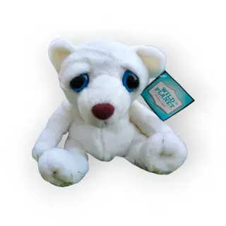 Urso Polar