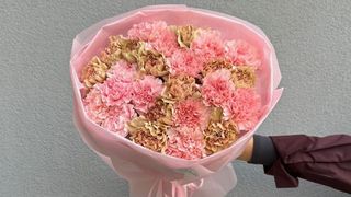 Bukiet Różowo-Karmelowych Goździków - 25 szt.