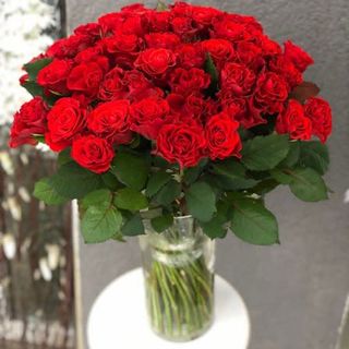 Червона троянда 50 см, 1 шт