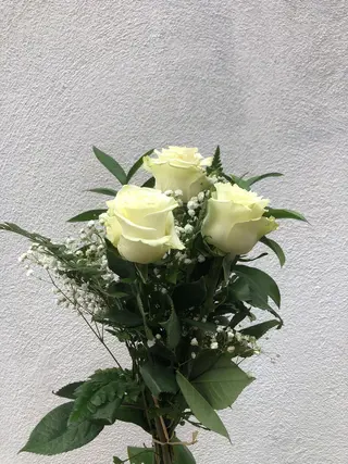 3 Rosas Blancas