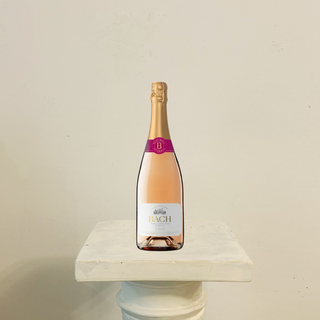 Cava - Bach Rosé Tradicional 750 ml