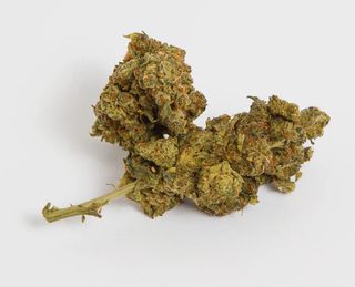 Blōssoul Flores HHC - Indoor Amnesia Haze