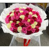 Mixed roses
