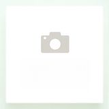 98. Калмари със зеленчуци върху метална плоча (600г)