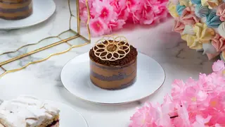 დათუნია