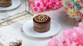 დათუნია