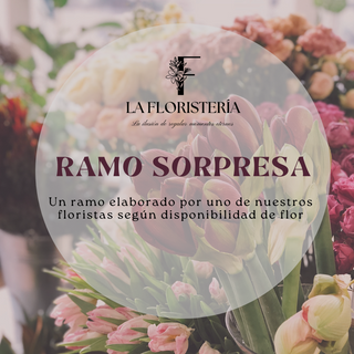 Ramo Lf Sorpresa Grande 