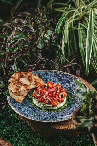 Творожный крем с гуакамоле и вялеными томатами