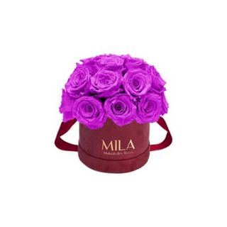 Mila Classique Small Dome