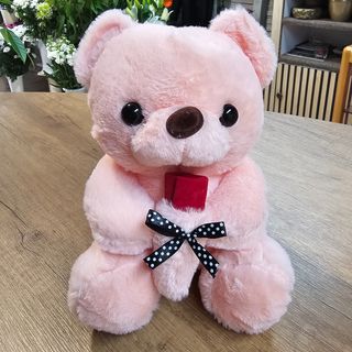 N° 11  Orsacchiotto rosa