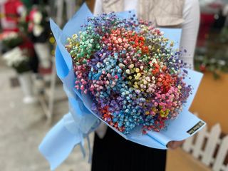 თაიგული 79