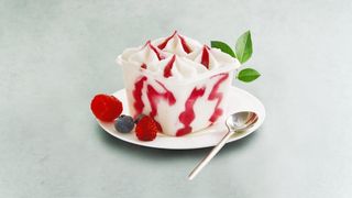 Krem sladoled jogurt i šumsko voće