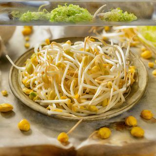 #3. Ensalada De Brotes De Soja