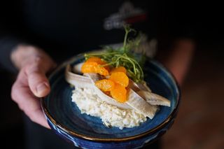 Śledź Szubacha 150g