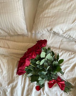 Klasyczna Czerwień 40-50 cm