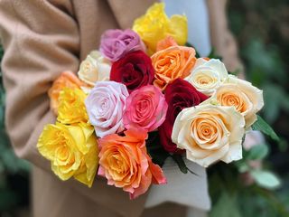 15 ფერადი ვარდი / 15 colorful roses